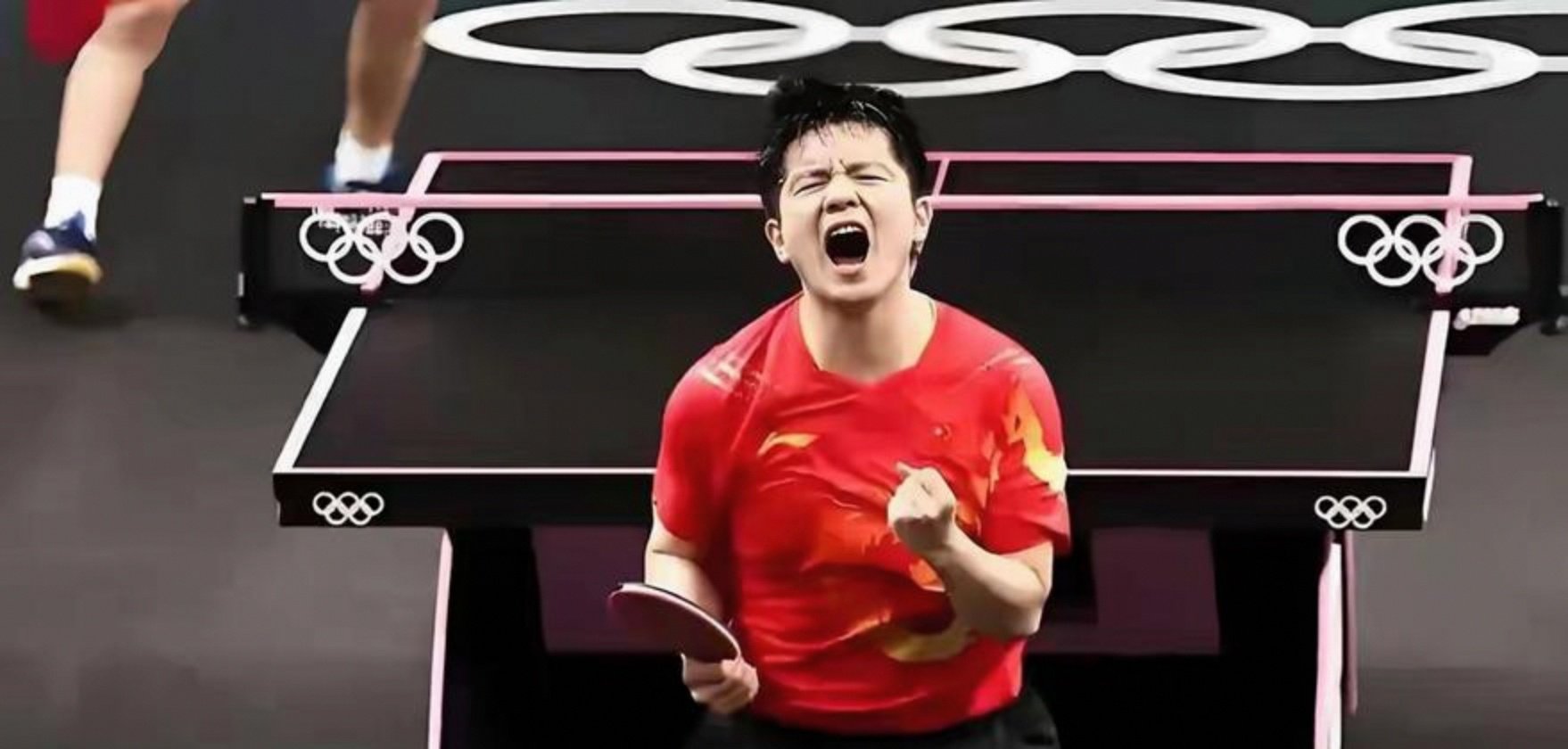 乐鱼体育app-法国队完胜日本队，樊振东高光表现